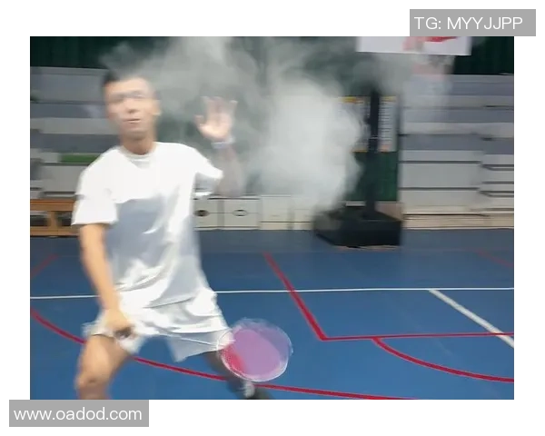 南京羽毛球队的成长之路：一段羽毛球的奋斗与荣耀纪实