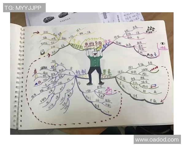 对话陈芳：回顾足球生涯的辉煌与挑战与未来展望